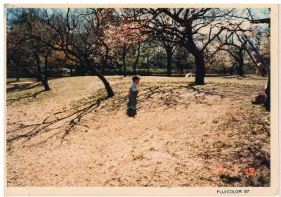 mas02_0058.JPG (759793 oCg)