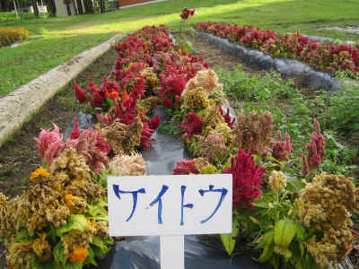 2012_0929_162436-IMG_0253.JPG (2594124 Х)