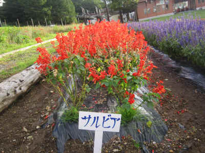2012_0929_162540-IMG_0258.JPG (3243315 Х)