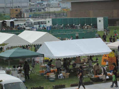 2012_0930_093929-IMG_0470.JPG (2334942 Х)