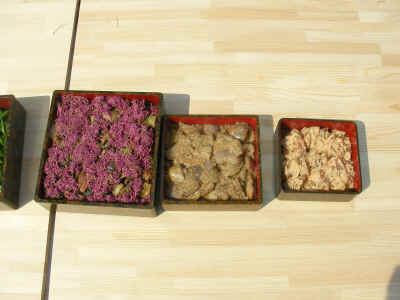 2012_0930_111952-SANY0367.JPG (1425819 Х)