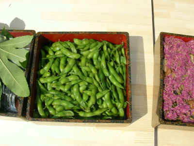 2012_0930_111959-SANY0368.JPG (1510849 Х)