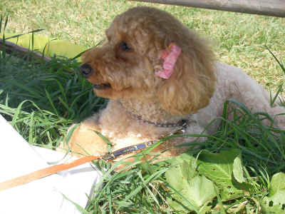 2012_0930_112235-SANY0374.JPG (1533867 Х)