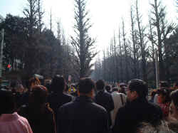 dscf2890.jpg (316093 Х)
